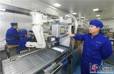 高端研发实验室成更多药企“标配”——石家庄着力做强做优生物医药健康产业的调查